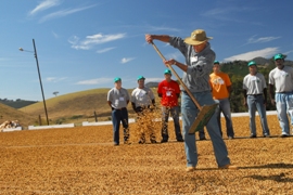 Curso Pós-Colheita do Café