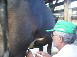 Curso Qualidade do Leite